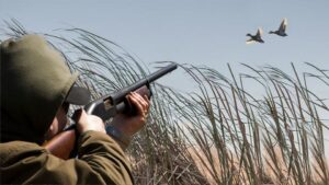 Подарок РГОО "БООР" от БелРООК