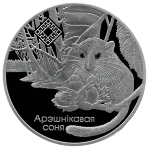 Внимание участников ДОФ