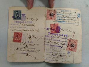 День службы по гражданству и миграции