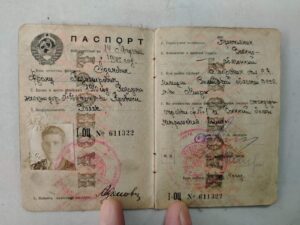 День службы по гражданству и миграции