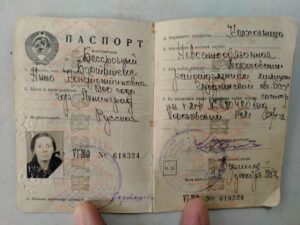 День службы по гражданству и миграции