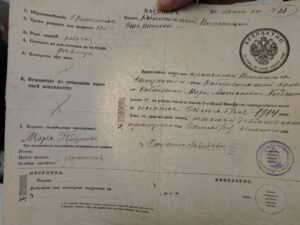 День службы по гражданству и миграции