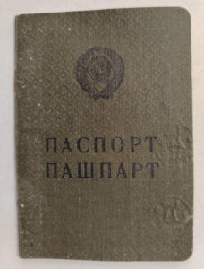День службы по гражданству и миграции