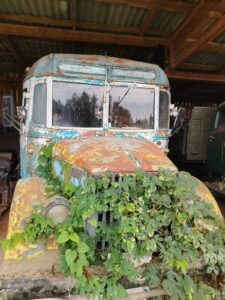 Забродье. В гости не с пустыми руками