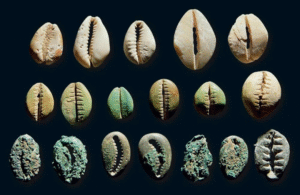 Куны, гривны и говяды. Какими раньше были деньги на Руси