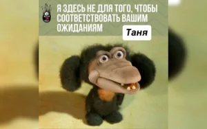 От утюгов до кукол и мемов. Что коллекционируют белорусы разных поколений